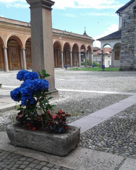 Hotel Elvezia Lake Maggiore Екстериор снимка